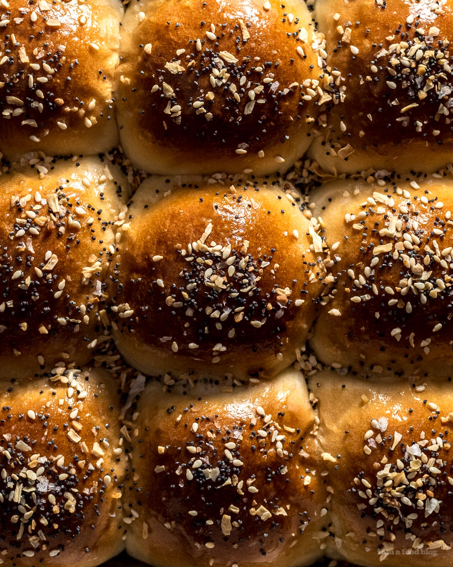 Everything Bagel Dinner Rolls | www.iamafoodblog.com