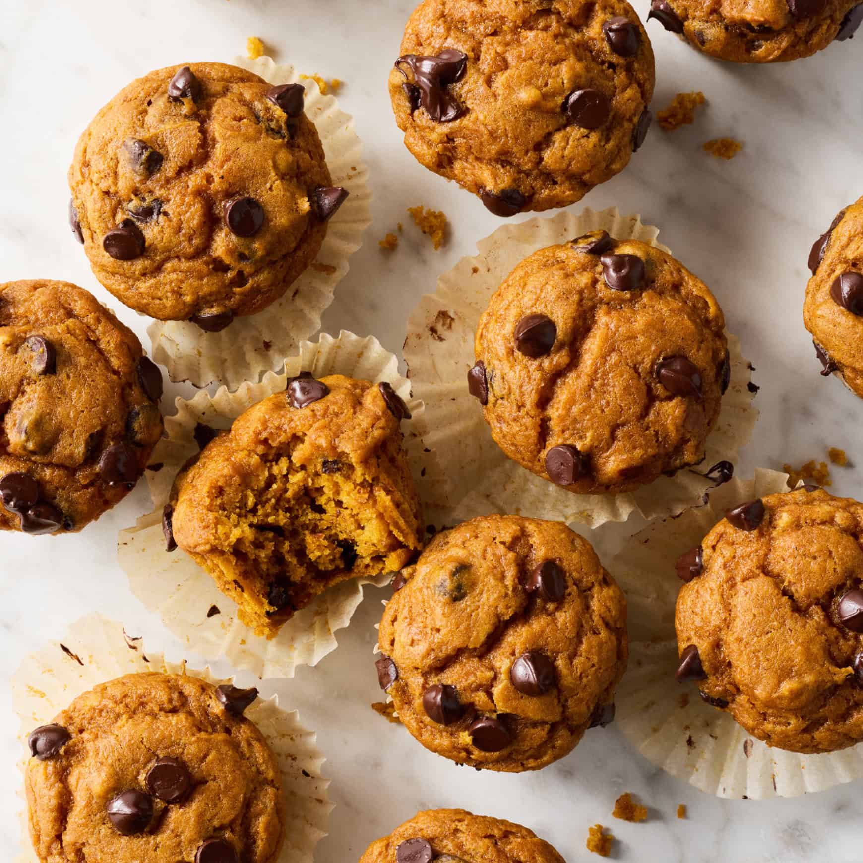 Pumpkin chocolate chip muffins recipe