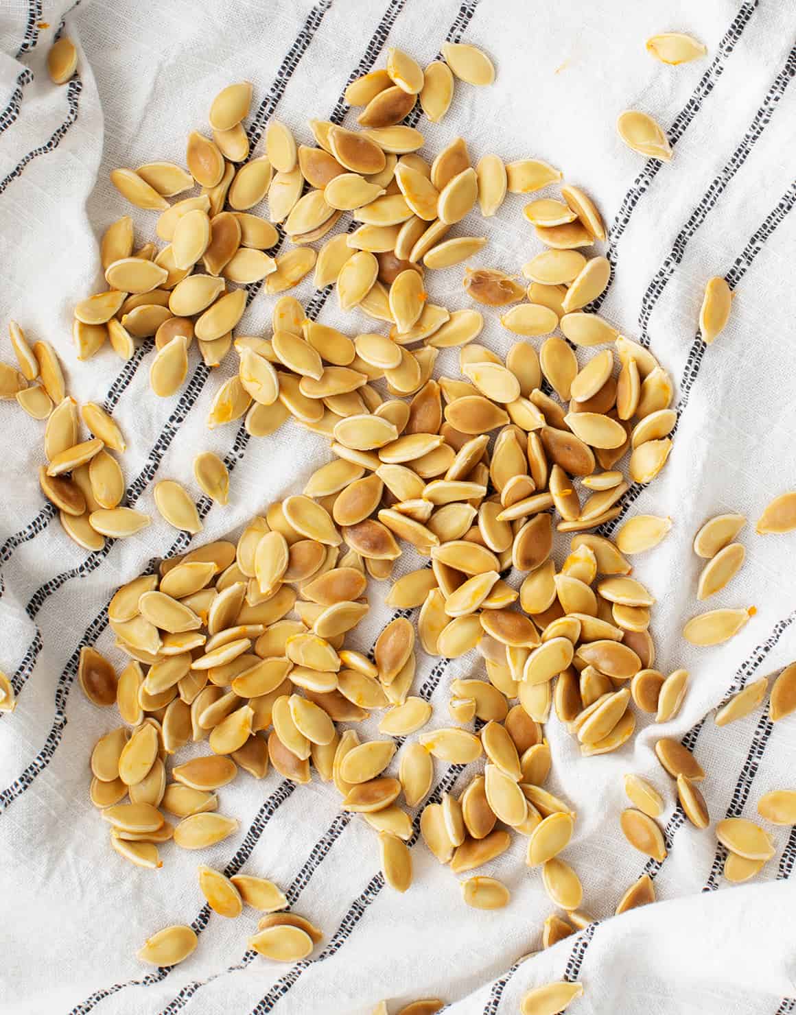 Squash seeds drying on dish towel
