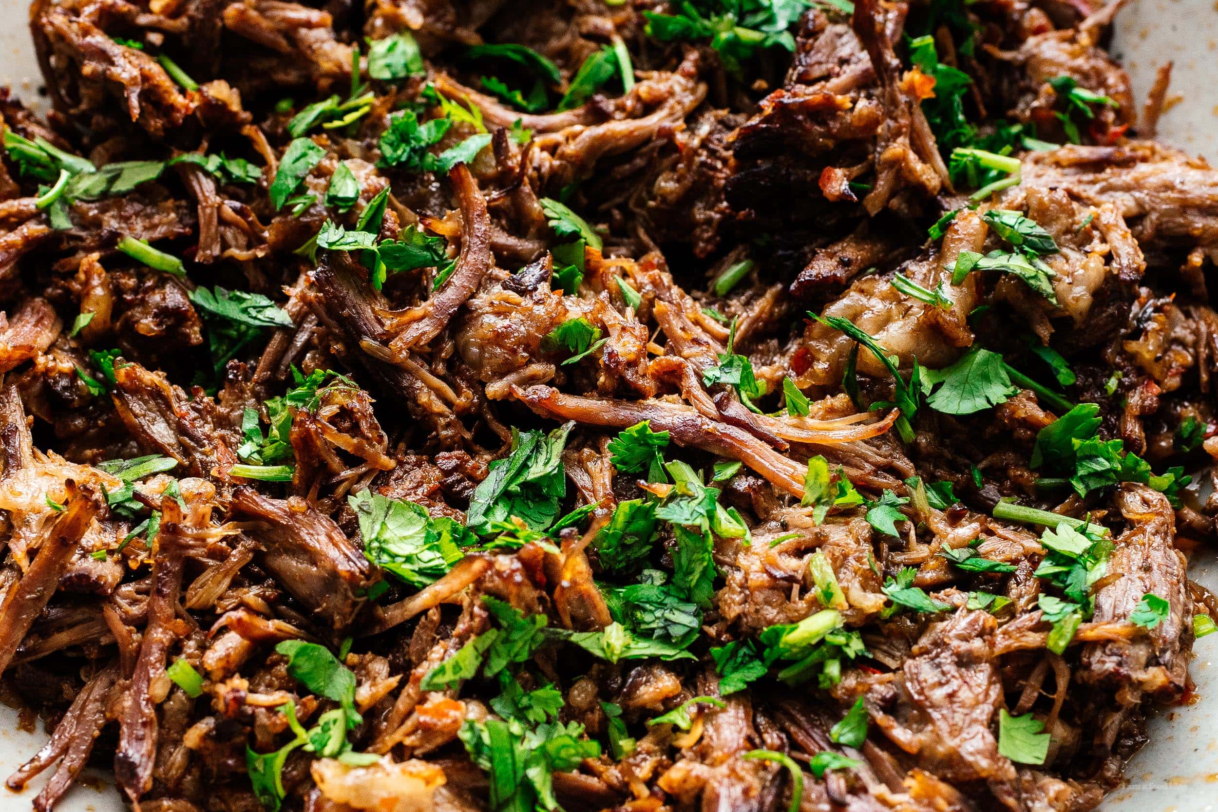 Christmas Barbacoa | www.iamafoodblog.com