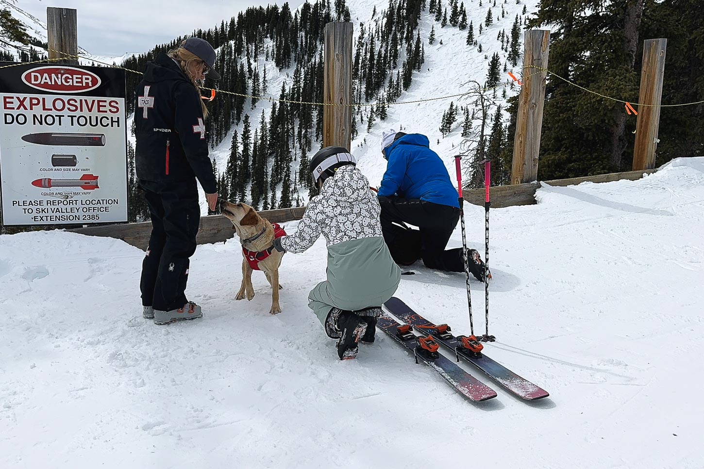 avy dogs at taos | www.iamafoodblog.com