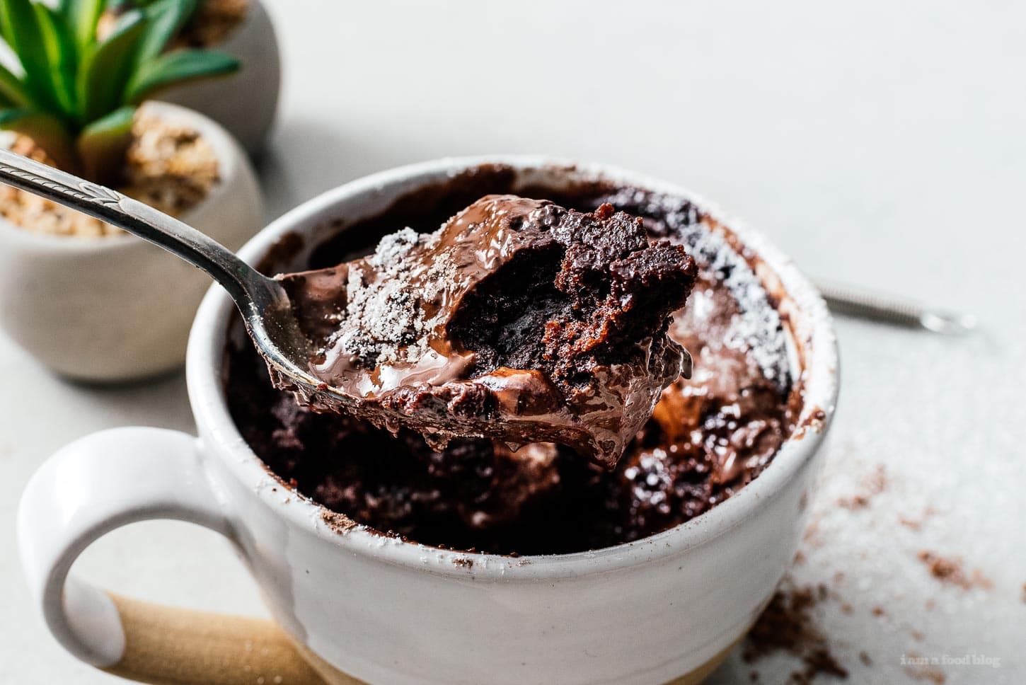mug cake | www.iamafoodblog.com